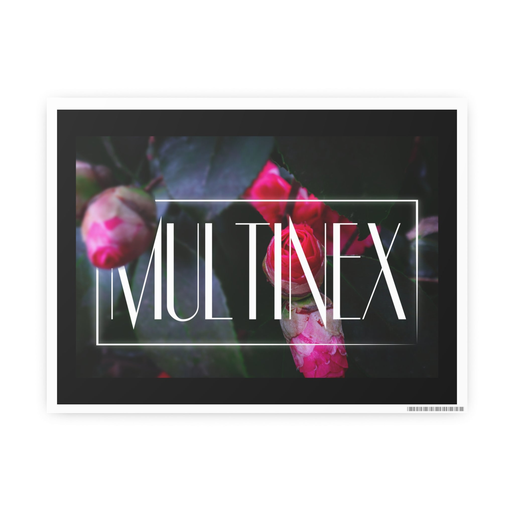 Multinex Floral Vibrant Photo Art Poster - Multinex Floral Design for Home Decor