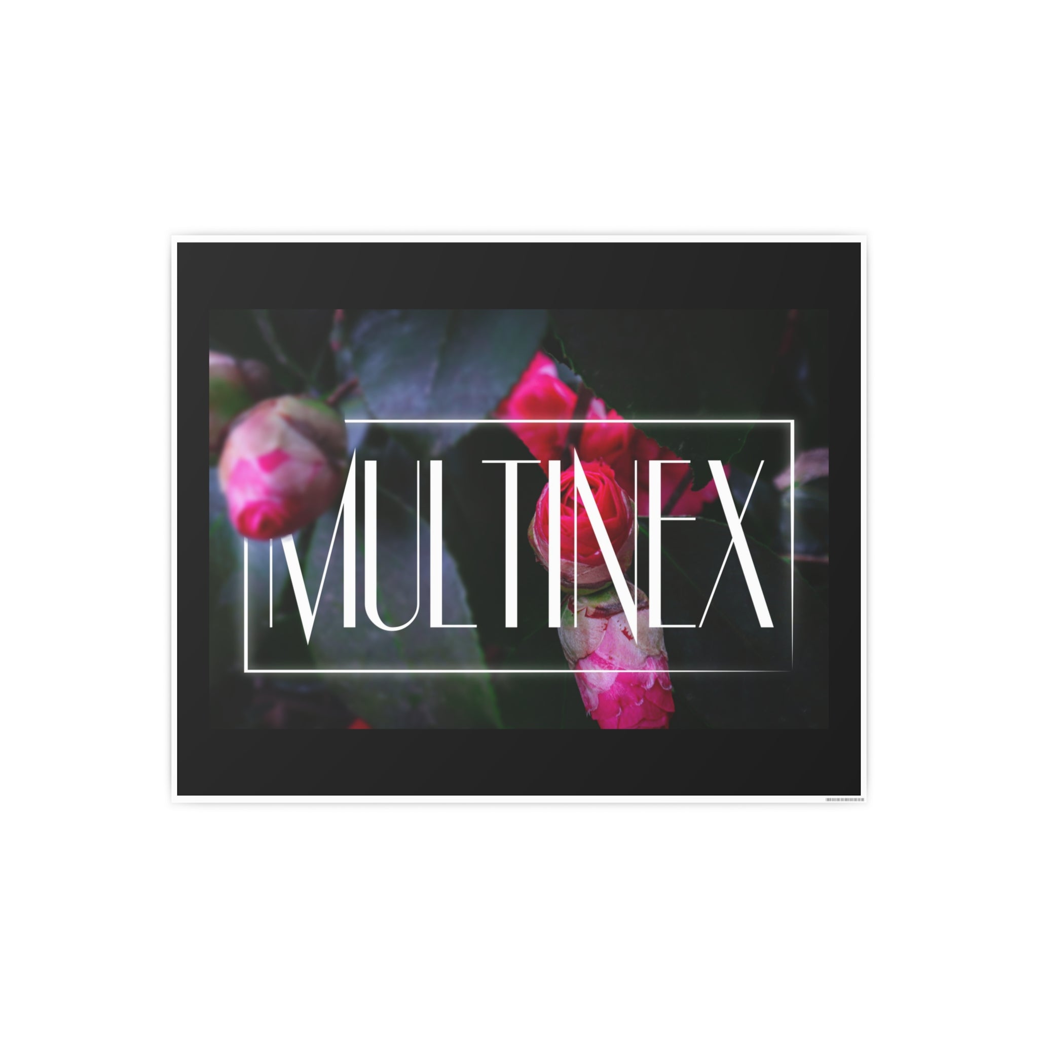 Multinex Floral Vibrant Photo Art Poster - Multinex Floral Design for Home Decor