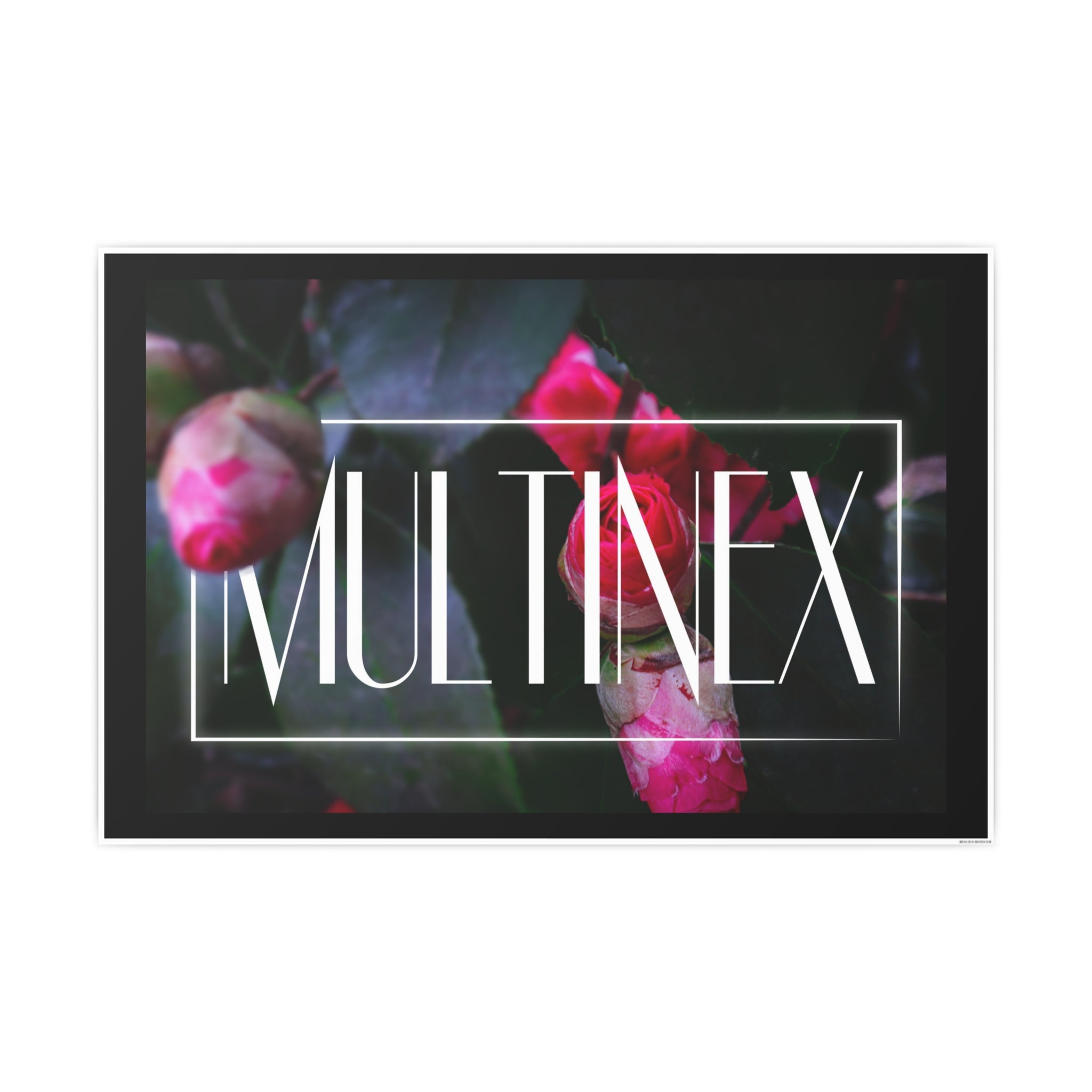 Multinex Floral Vibrant Photo Art Poster - Multinex Floral Design for Home Decor