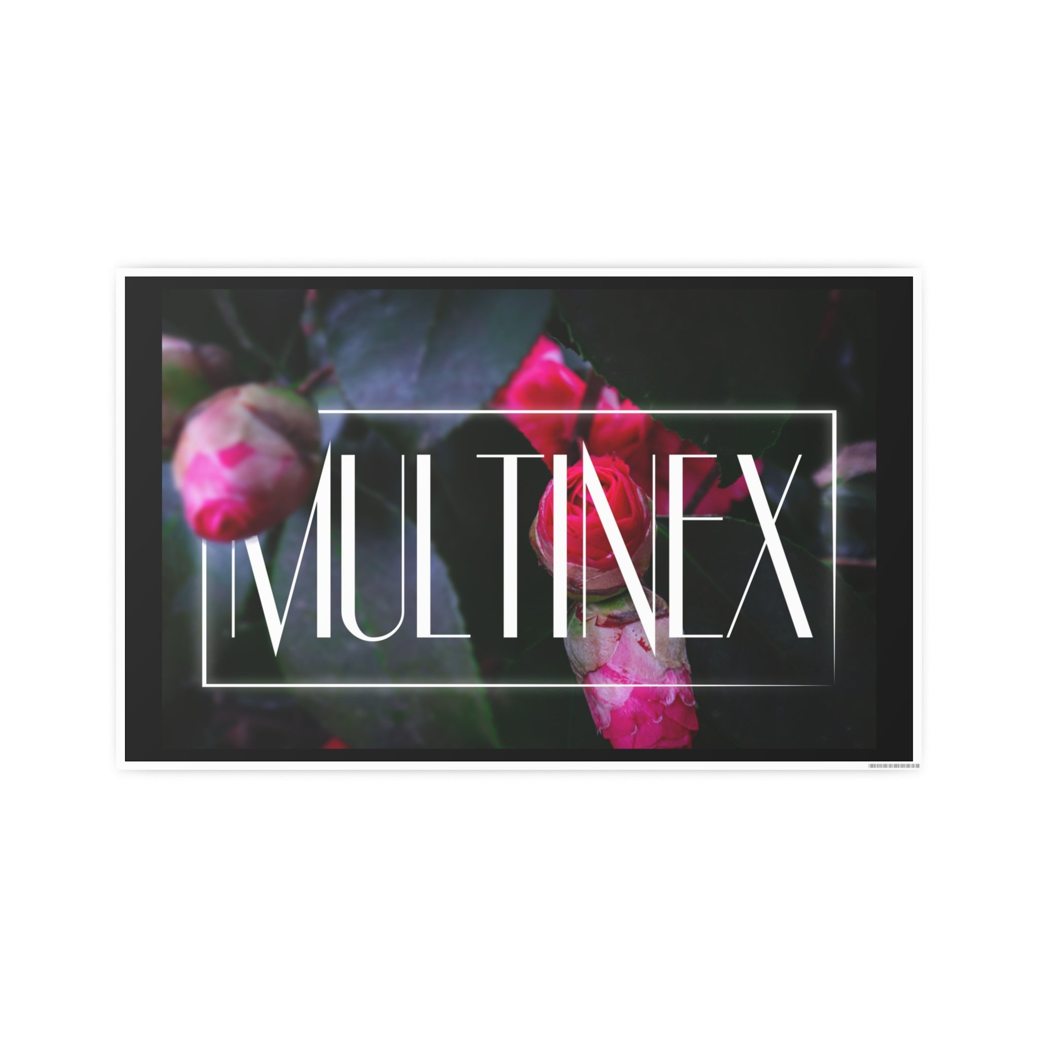 Multinex Floral Vibrant Photo Art Poster - Multinex Floral Design for Home Decor