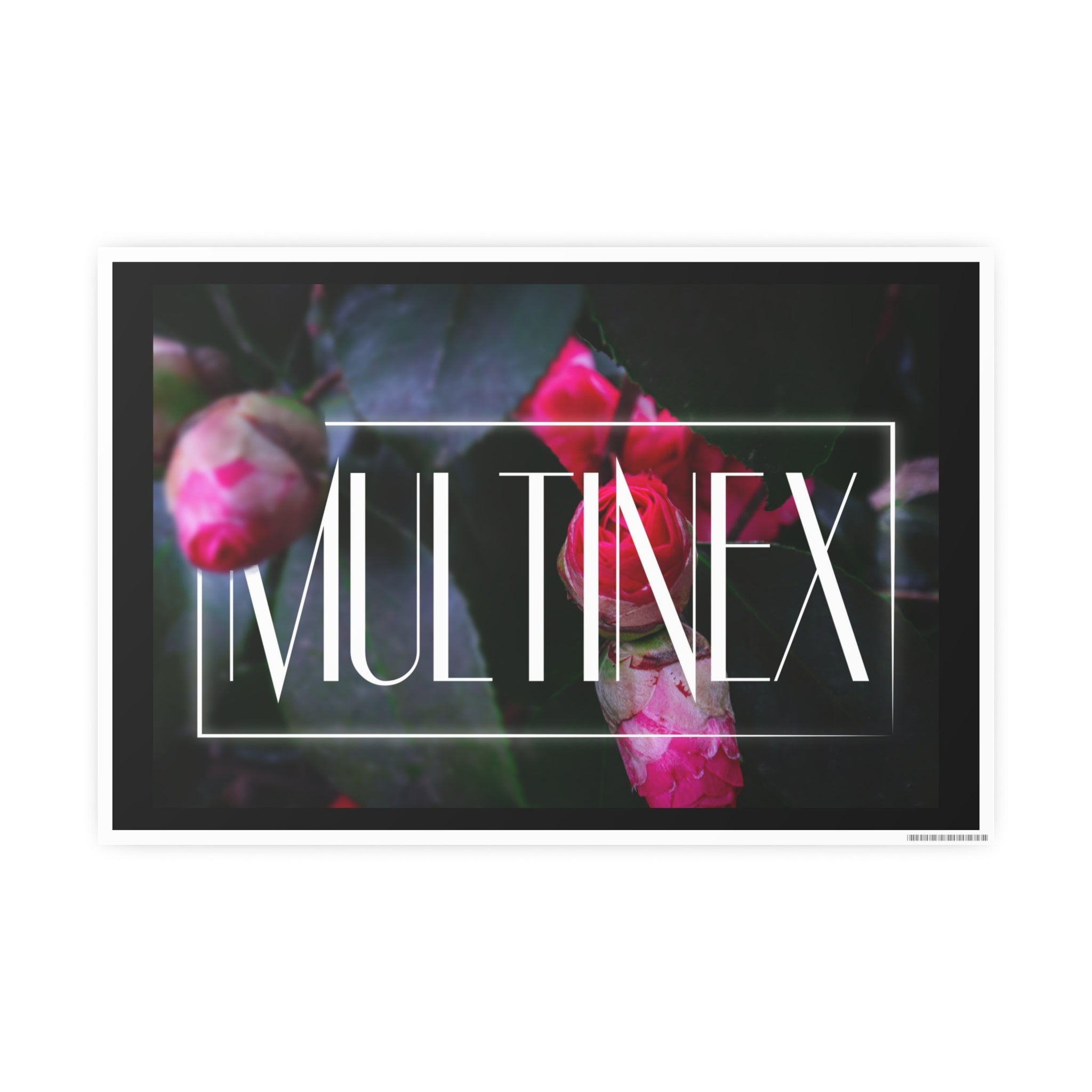 Multinex Floral Vibrant Photo Art Poster - Multinex Floral Design for Home Decor